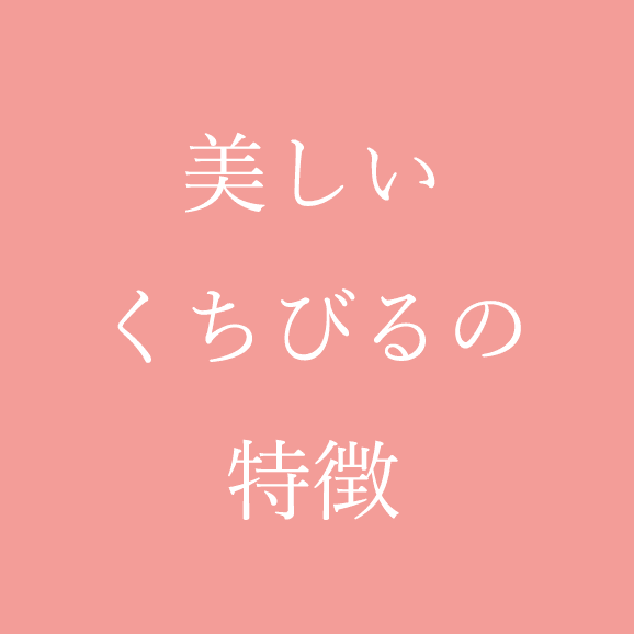 美しい唇の特徴