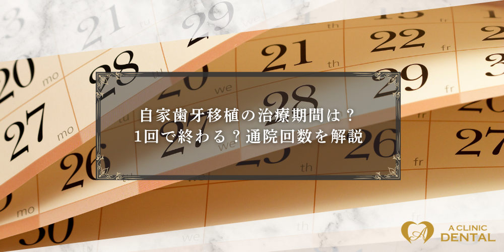 自家歯牙移植の治療期間は？1回で終わる？通院回数を解説