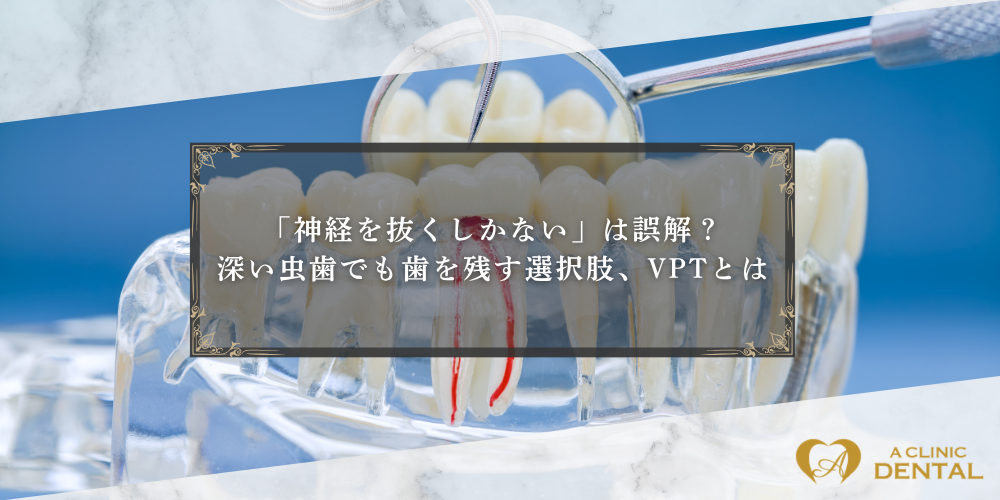 「神経を抜くしかない」は誤解？深い虫歯でも歯を残す選択肢、VPTとは